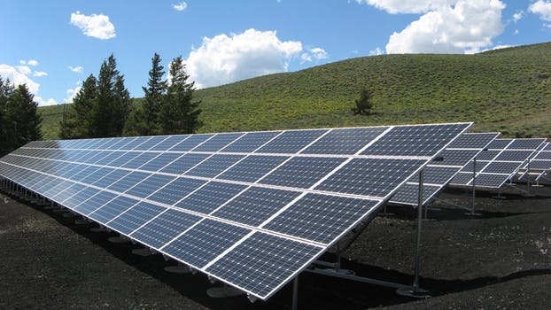 Extra large solar panels in a green field with trees belonging to a sustainable business.