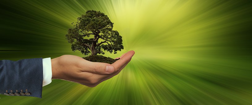 UK'S most well-known leading sustainable businesses tree in hand